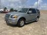 2006 GRAY /Gray Ford Expedition Limited 2WD (1FMFU19566L) with an 5.4L V8 SOHC 16V engine, 4-Speed Automatic Overdrive transmission, located at 14700 Tomball Parkway 249, Houston, TX, 77086, (281) 444-2200, 29.928619, -95.504074 - Photo#9