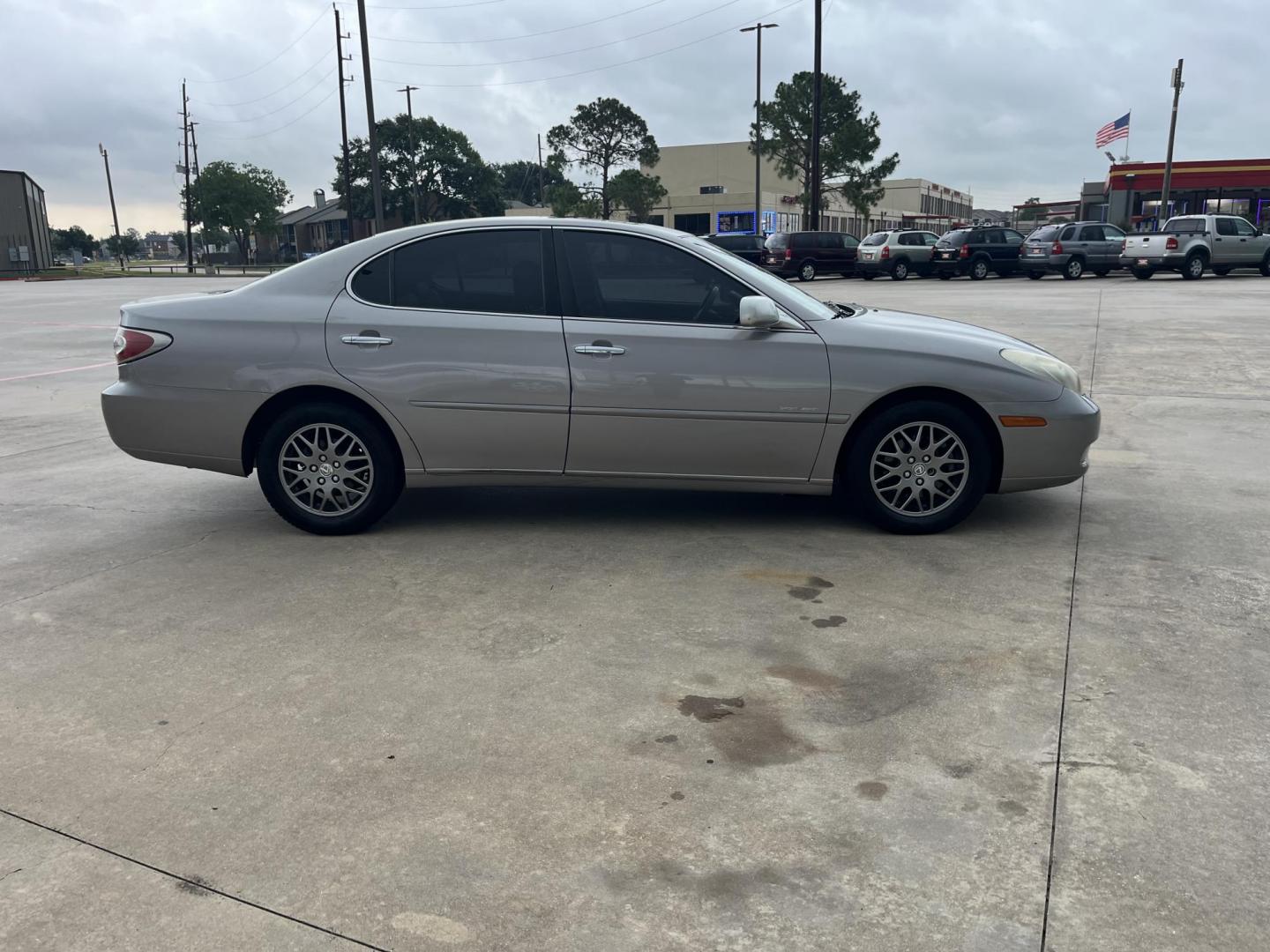2004 GRAY /Gray Lexus ES 330 Sedan (JTHBA30GX45) with an 3.3L V6 DOHC 24V engine, 5-Speed Automatic Overdrive transmission, located at 14700 Tomball Parkway 249, Houston, TX, 77086, (281) 444-2200, 29.928619, -95.504074 - Photo#7