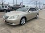 2010 GOLD /Tan Lexus ES 350 Sedan (JTHBK1EG9A2) with an 3.5L V6 DOHC 24V engine, 6-Speed Automatic transmission, located at 14700 Tomball Parkway 249, Houston, TX, 77086, (281) 444-2200, 29.928619, -95.504074 - Photo#2