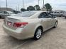 2010 GOLD /Tan Lexus ES 350 Sedan (JTHBK1EG9A2) with an 3.5L V6 DOHC 24V engine, 6-Speed Automatic transmission, located at 14700 Tomball Parkway 249, Houston, TX, 77086, (281) 444-2200, 29.928619, -95.504074 - Photo#6
