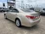 2010 GOLD /Tan Lexus ES 350 Sedan (JTHBK1EG9A2) with an 3.5L V6 DOHC 24V engine, 6-Speed Automatic transmission, located at 14700 Tomball Parkway 249, Houston, TX, 77086, (281) 444-2200, 29.928619, -95.504074 - Photo#4
