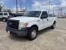 2013 white /Gray Ford F-150 XLT 8-ft. Bed 2WD (1FTMF1CM4DK) with an 3.7L V6 DOHC 24V engine, 6-Speed Automatic transmission, located at 14700 Tomball Parkway 249, Houston, TX, 77086, (281) 444-2200, 29.928619, -95.504074 - Photo#2