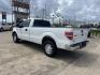 2013 white /Gray Ford F-150 XLT 8-ft. Bed 2WD (1FTMF1CM4DK) with an 3.7L V6 DOHC 24V engine, 6-Speed Automatic transmission, located at 14700 Tomball Parkway 249, Houston, TX, 77086, (281) 444-2200, 29.928619, -95.504074 - Photo#4