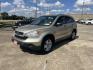 2009 GOLD Honda CR-V LX 2WD 5-Speed AT (3CZRE38339G) with an 2.4L L4 DOHC 16V engine, 5-Speed Automatic transmission, located at 14700 Tomball Parkway 249, Houston, TX, 77086, (281) 444-2200, 29.928619, -95.504074 - Photo#2